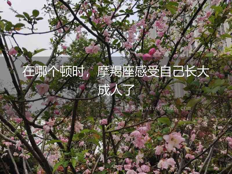 在哪個(gè)頓時(shí)，摩羯座感受自己長(zhǎng)大成人了