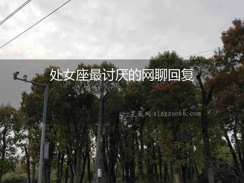 處女座最討厭的網聊回復