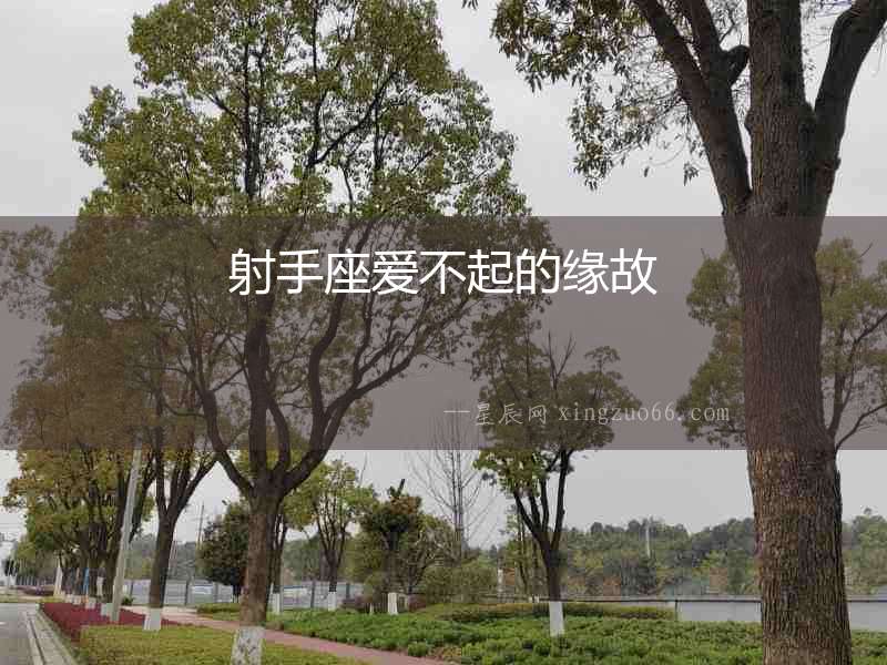 射手座愛不起的緣故
