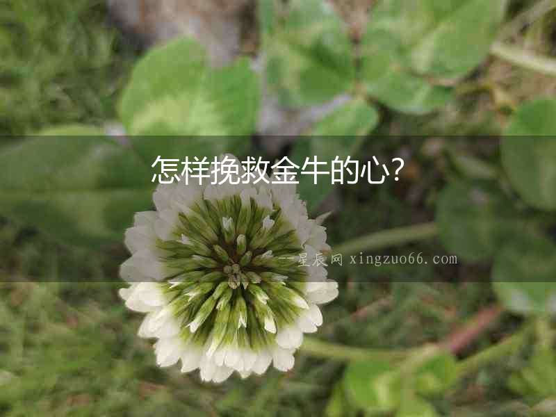 怎樣挽救金牛的心？