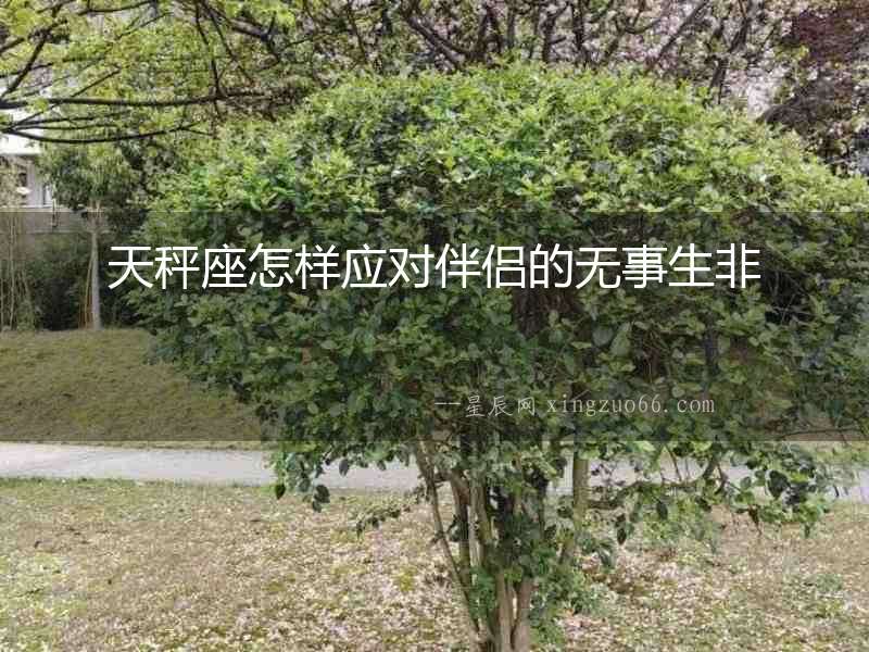 天秤座怎樣應對伴侶的無事生非