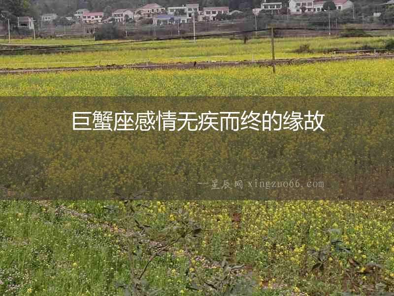 巨蟹座感情無疾而終的緣故