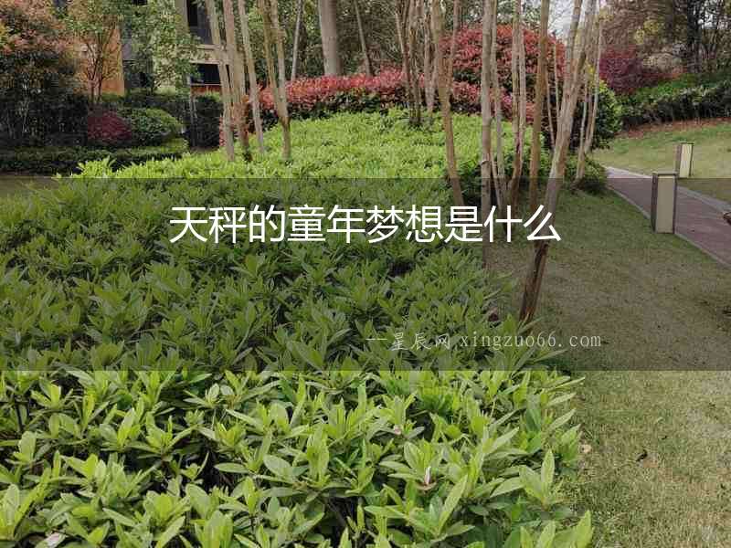 天秤的童年夢(mèng)想是什么
