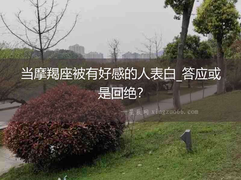 當摩羯座被有好感的人表白_答應或是回絕？