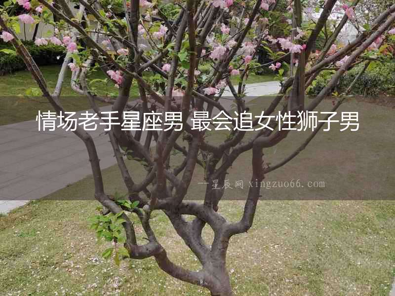 情場老手星座男 最會追女性獅子男
