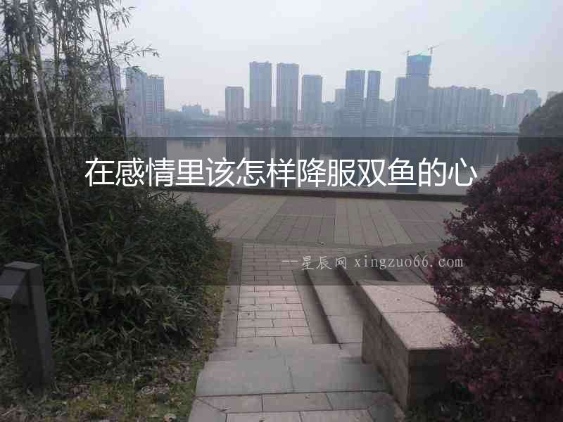 在感情里該怎樣降服雙魚的心