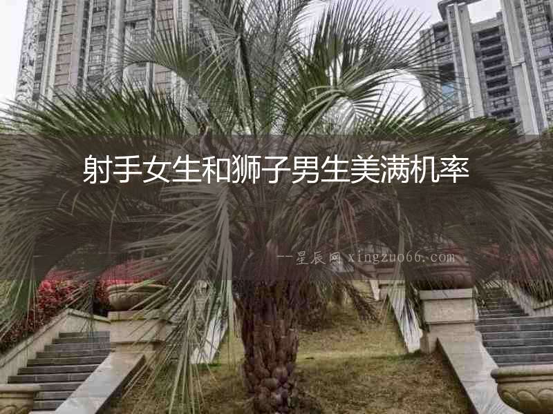射手女生和獅子男生美滿機率