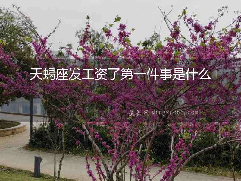 天蝎座發工資了第一件事是什么