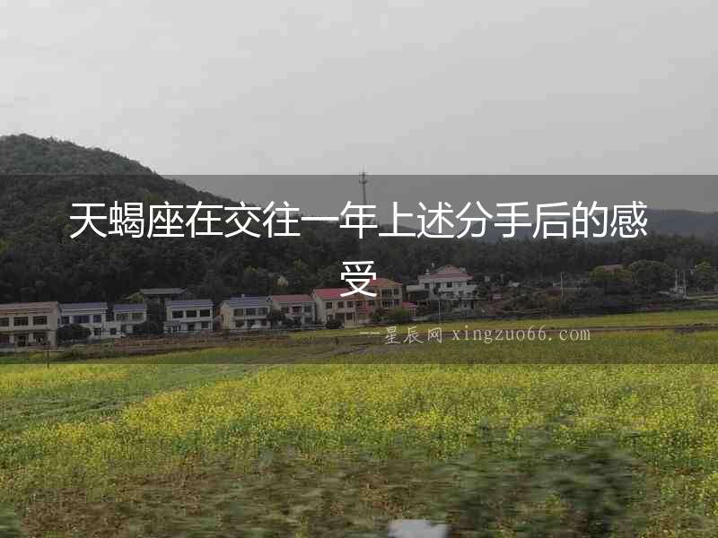 天蝎座在交往一年上述分手后的感受