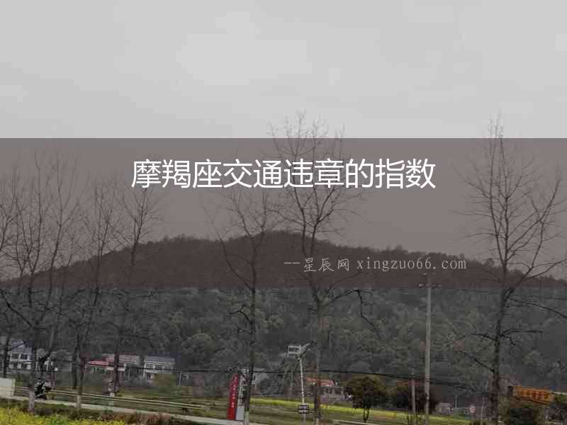 摩羯座交通違章的指數