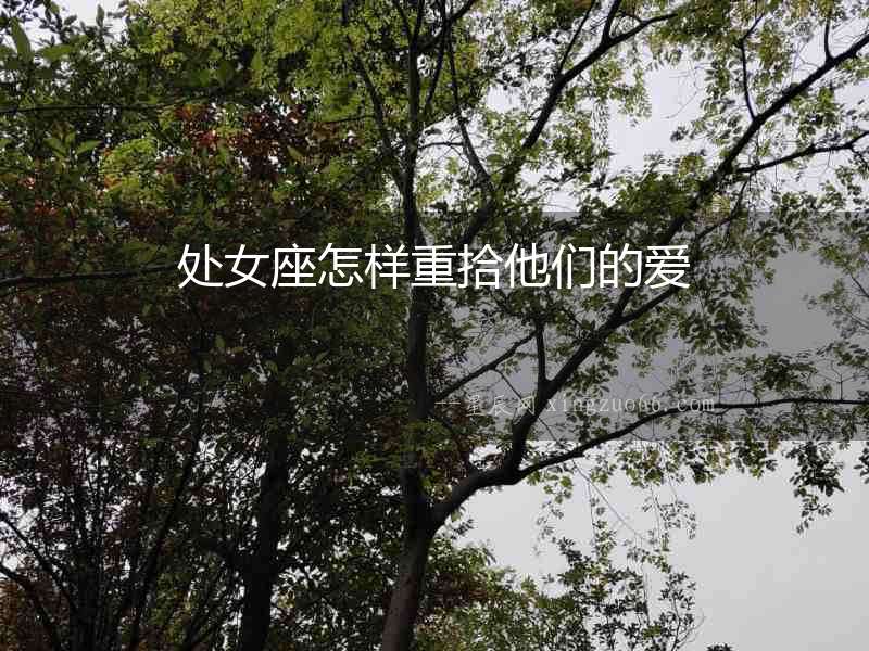 處女座怎樣重拾他們的愛