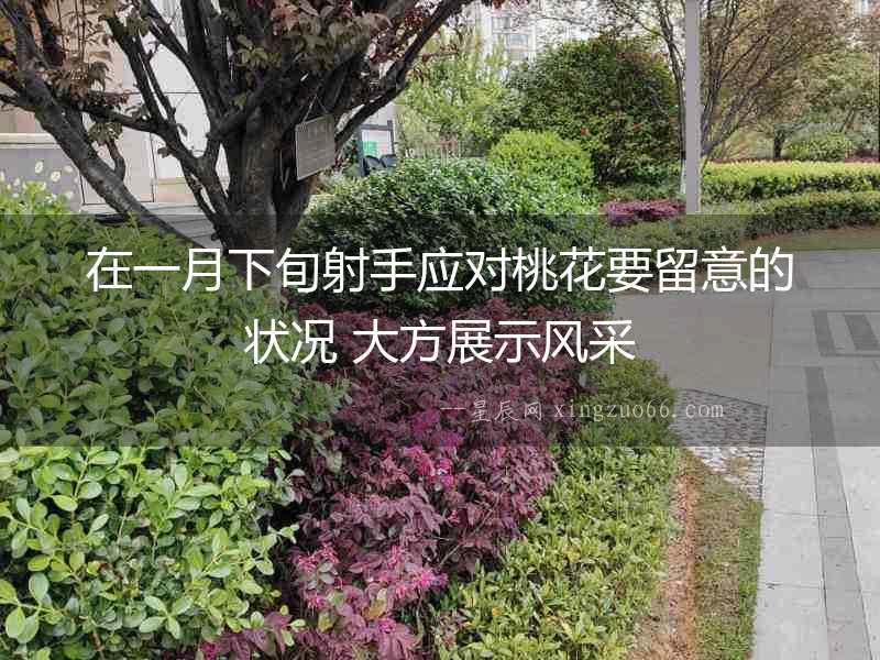 在一月下旬射手應對桃花要留意的狀況 大方展示風采
