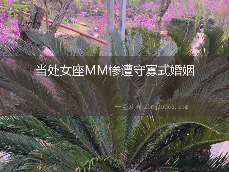 當處女座MM慘遭守寡式婚姻