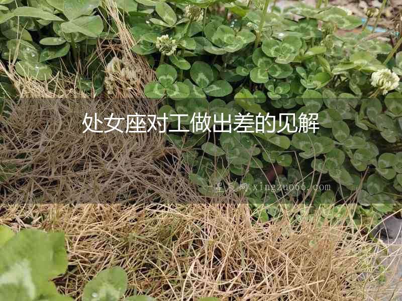 處女座對工做出差的見解