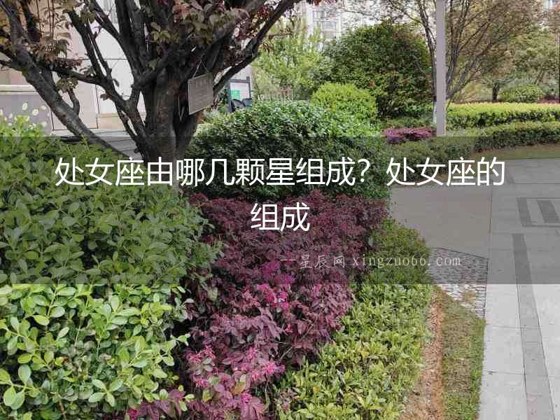 處女座由哪幾顆星組成？處女座的組成