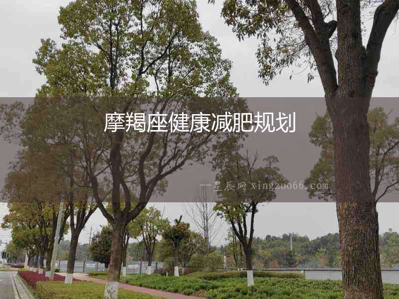 摩羯座健康減肥規劃