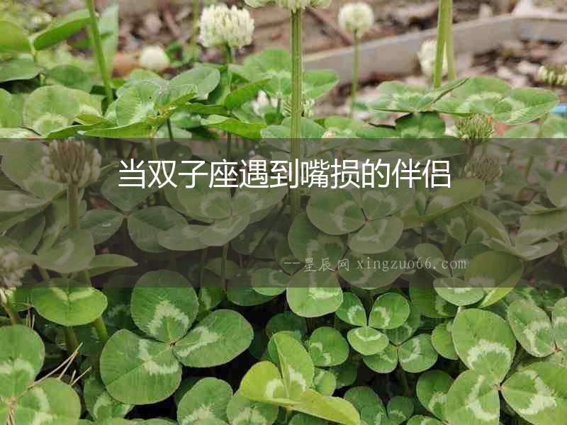 當雙子座遇到嘴損的伴侶