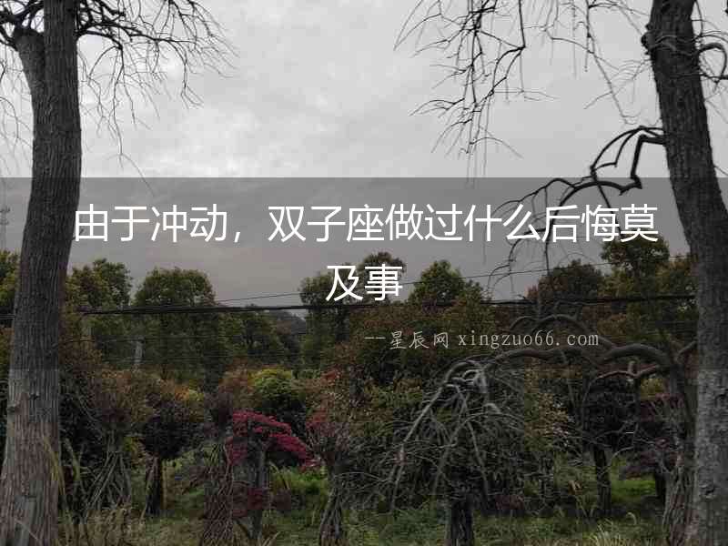 由于沖動，雙子座做過什么后悔莫及事