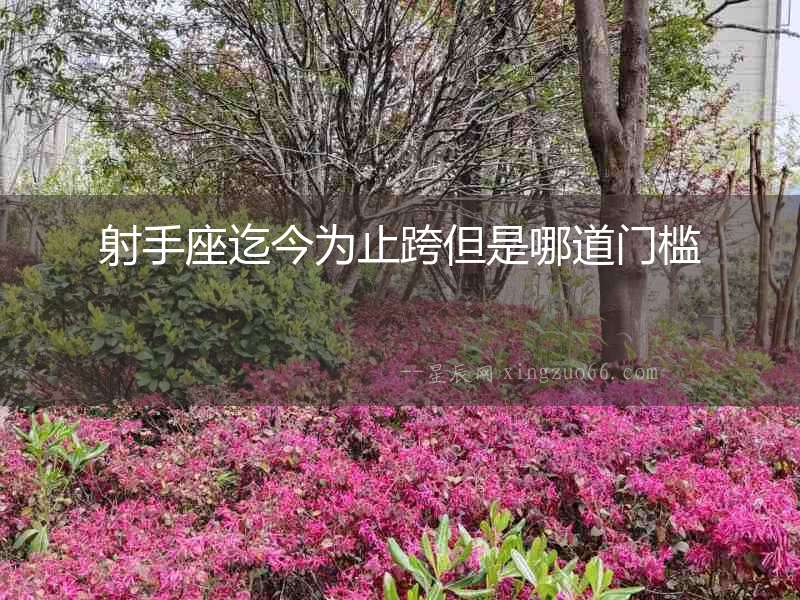 射手座迄今為止跨但是哪道門檻