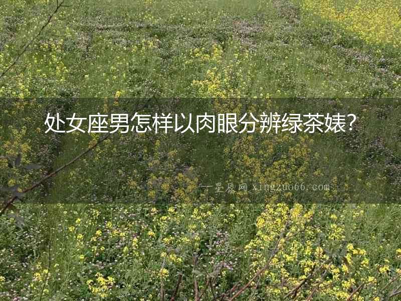 處女座男怎樣以肉眼分辨綠茶婊？