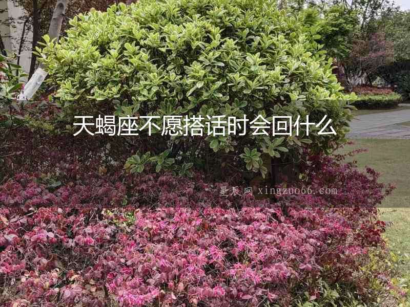 天蝎座不愿搭話時會回什么