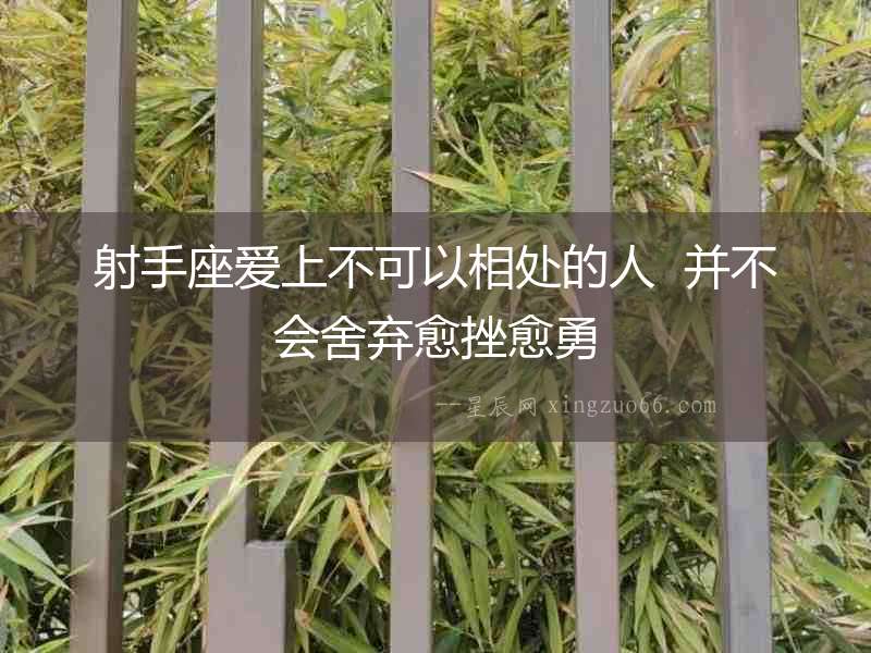 射手座愛上不可以相處的人  并不會舍棄愈挫愈勇