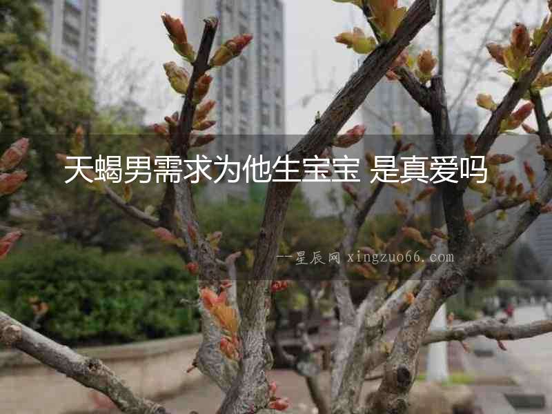 天蝎男需求為他生寶寶 是真愛嗎