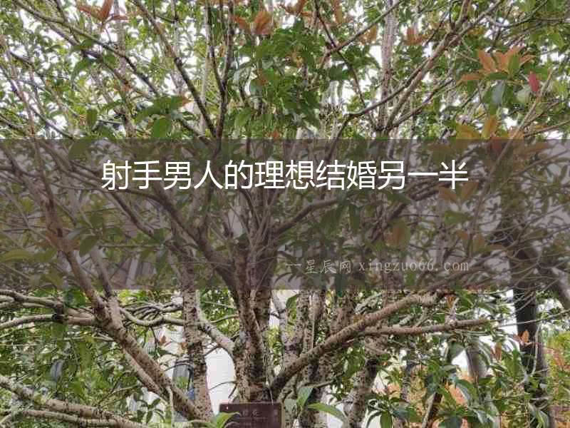 射手男人的理想結(jié)婚另一半