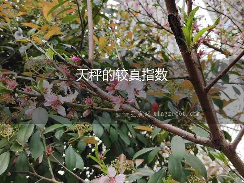 天秤的較真指數