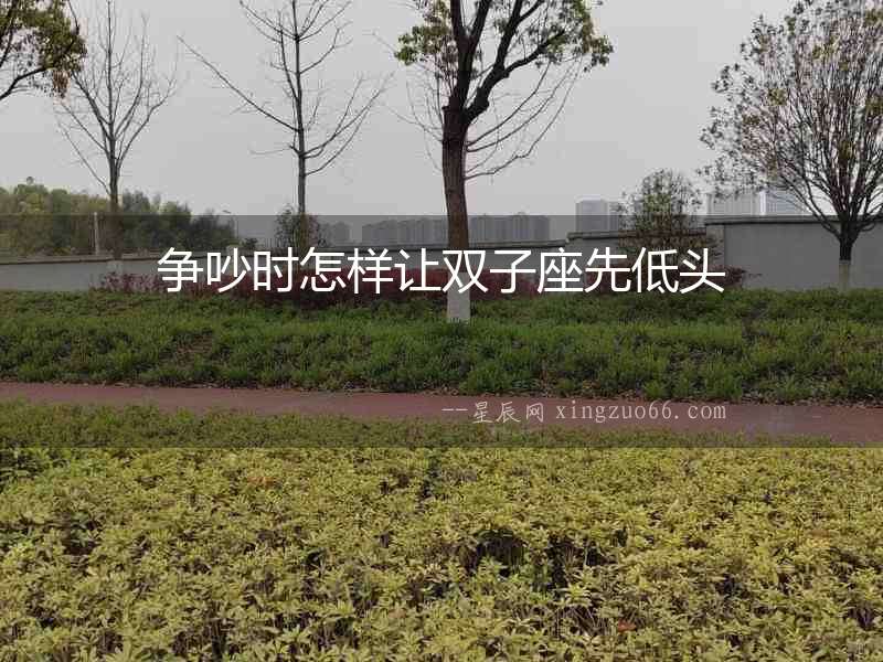 爭(zhēng)吵時(shí)怎樣讓雙子座先低頭