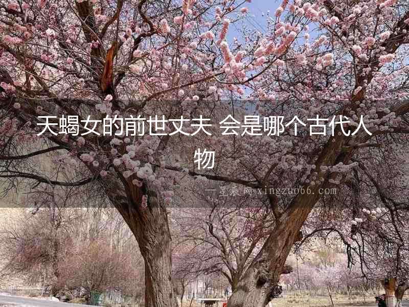 天蝎女的前世丈夫 會是哪個古代人物
