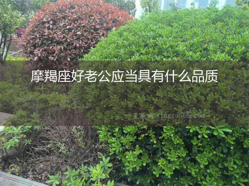 摩羯座好老公應當具有什么品質