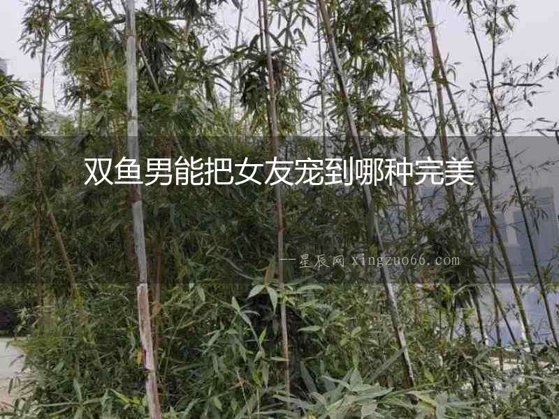 雙魚男能把女友寵到哪種完美