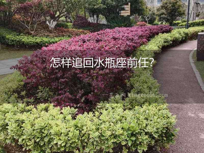 怎樣追回水瓶座前任？