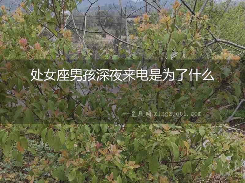 處女座男孩深夜來電是為了什么