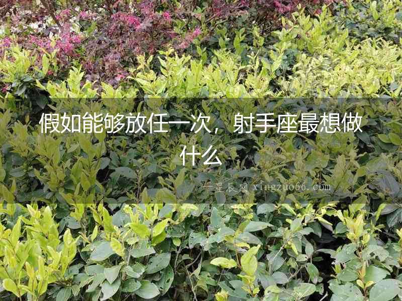 假如能夠放任一次，射手座最想做什么