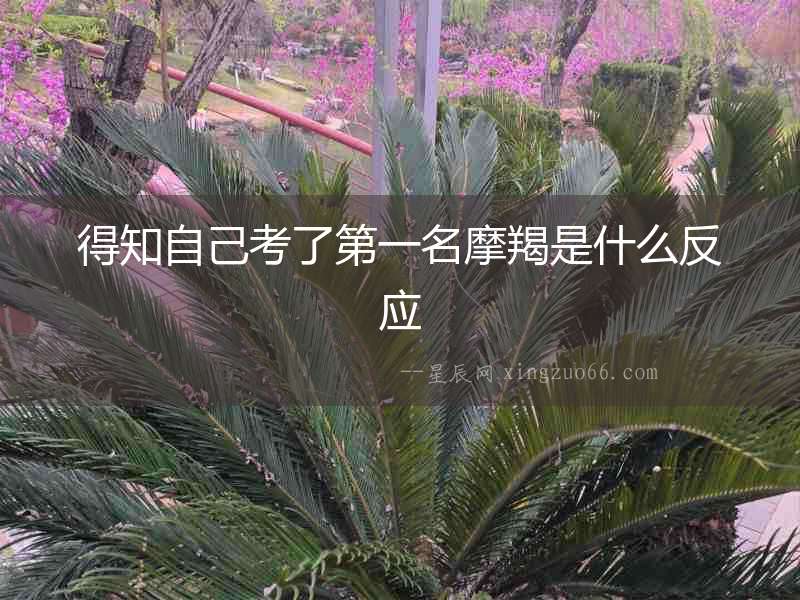 得知自己考了第一名摩羯是什么反應