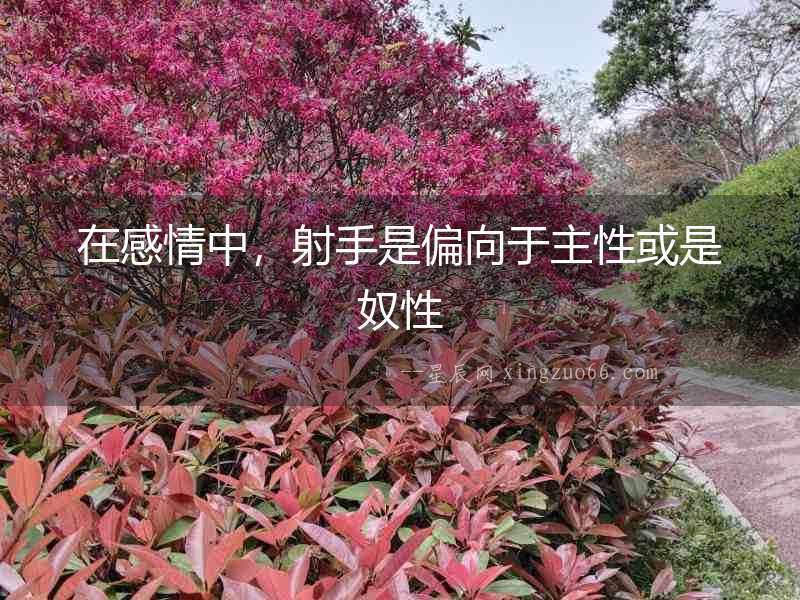 在感情中，射手是偏向于主性或是奴性