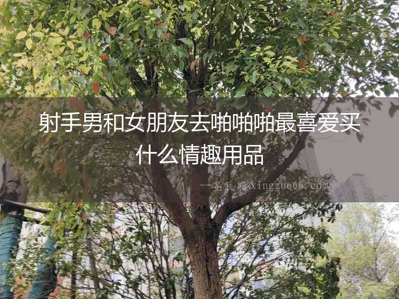 射手男和女朋友去啪啪啪最喜愛買什么情趣用品