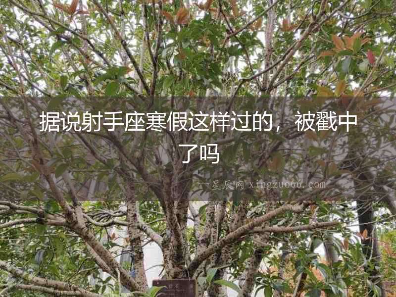 據說射手座寒假這樣過的，被戳中了嗎