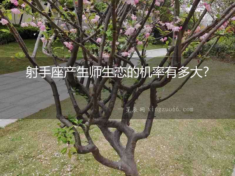 射手座產(chǎn)生師生戀的機率有多大？