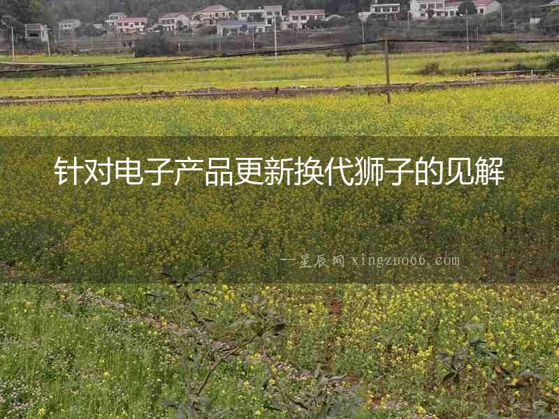 針對電子產品更新換代獅子的見解