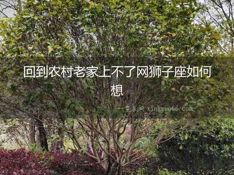 回到農村老家上不了網獅子座如何想