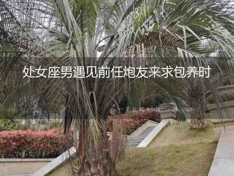 處女座男遇見前任炮友來求包養時