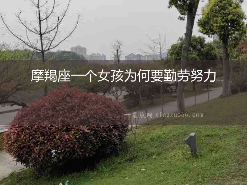 摩羯座一個女孩為何要勤勞努力