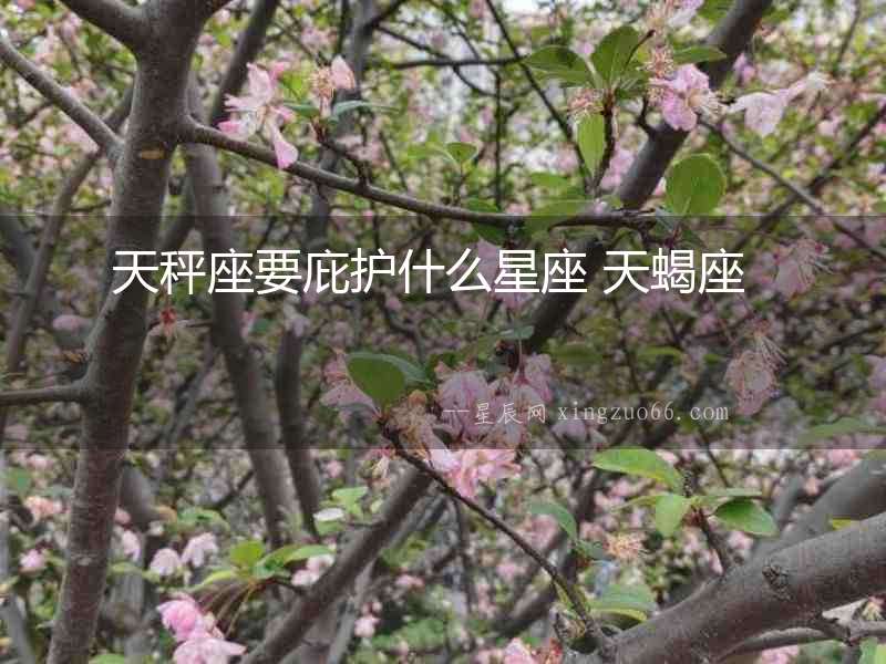 天秤座要庇護(hù)什么星座 天蝎座  　　