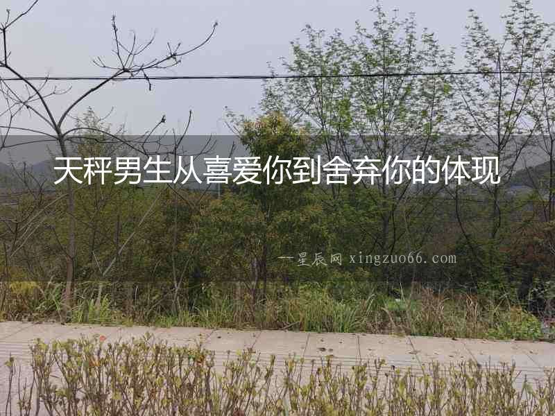 天秤男生從喜愛你到舍棄你的體現