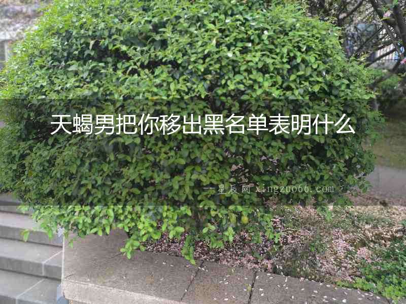 天蝎男把你移出黑名單表明什么