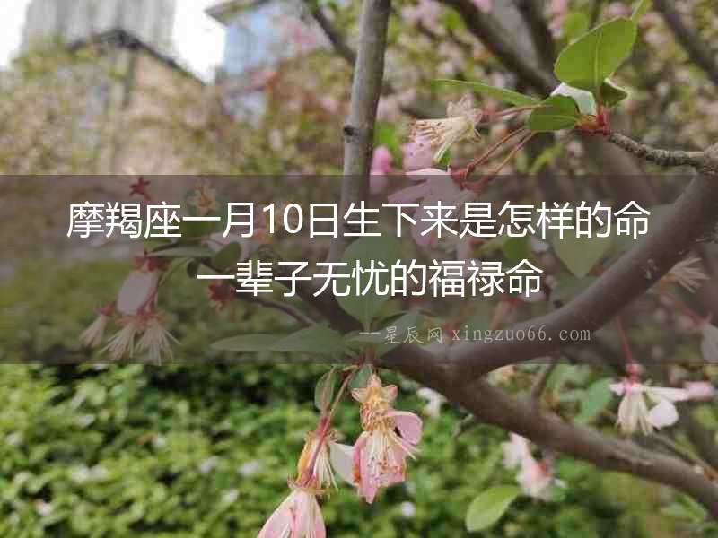 摩羯座一月10日生下來(lái)是怎樣的命  一輩子無(wú)憂的福祿命