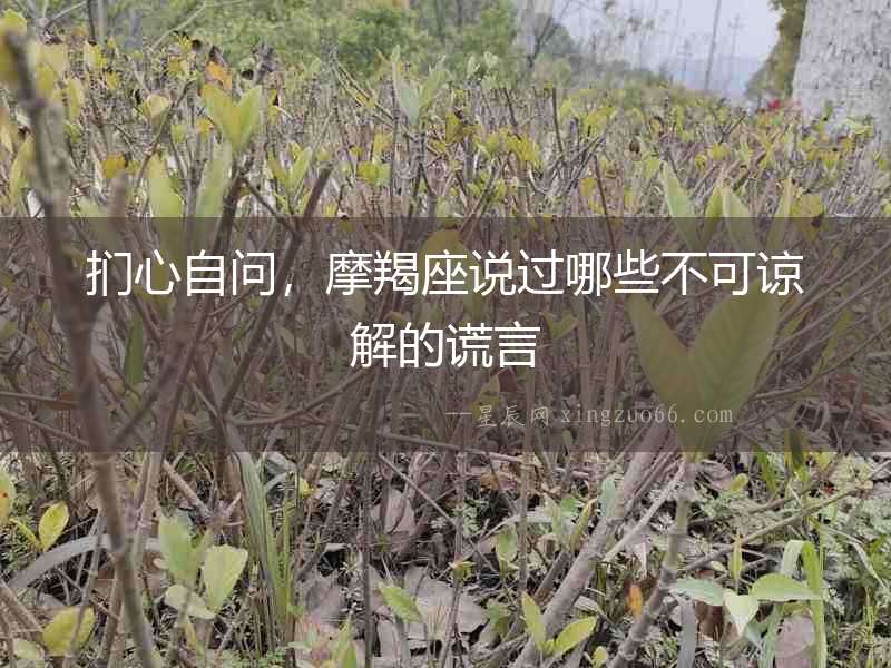捫心自問，摩羯座說過哪些不可諒解的謊言